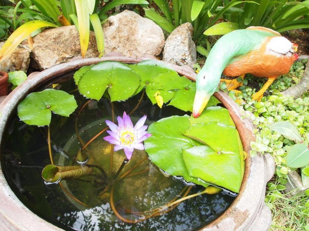 Baan Sala Lung Dam Hotel بوفوت المظهر الخارجي الصورة